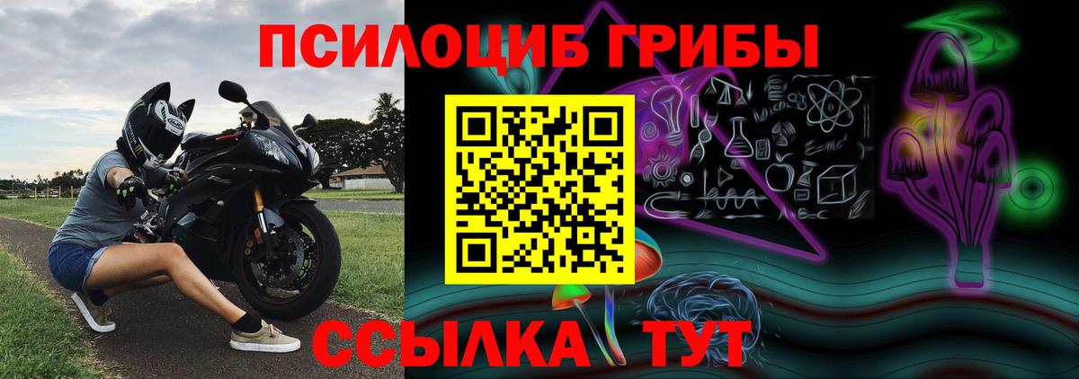 Каменск-Уральский  Галлюциногенные грибы Psilocybe  Псилоцибиновые грибы GOLDEN TEACHER  Вход с VPN 